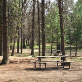 Review photo of Lake Bemidji State Park Campground by Janet R., May 24, 2018