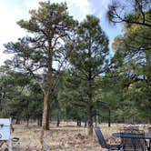 Review photo of Flagstaff KOA by Alex H., November 30, 2020