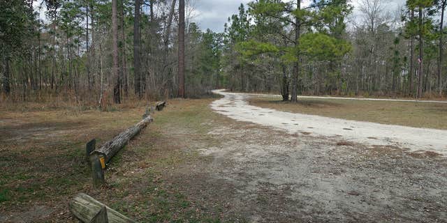 Camper submitted image from Halfway Creek - Dispersed Camping