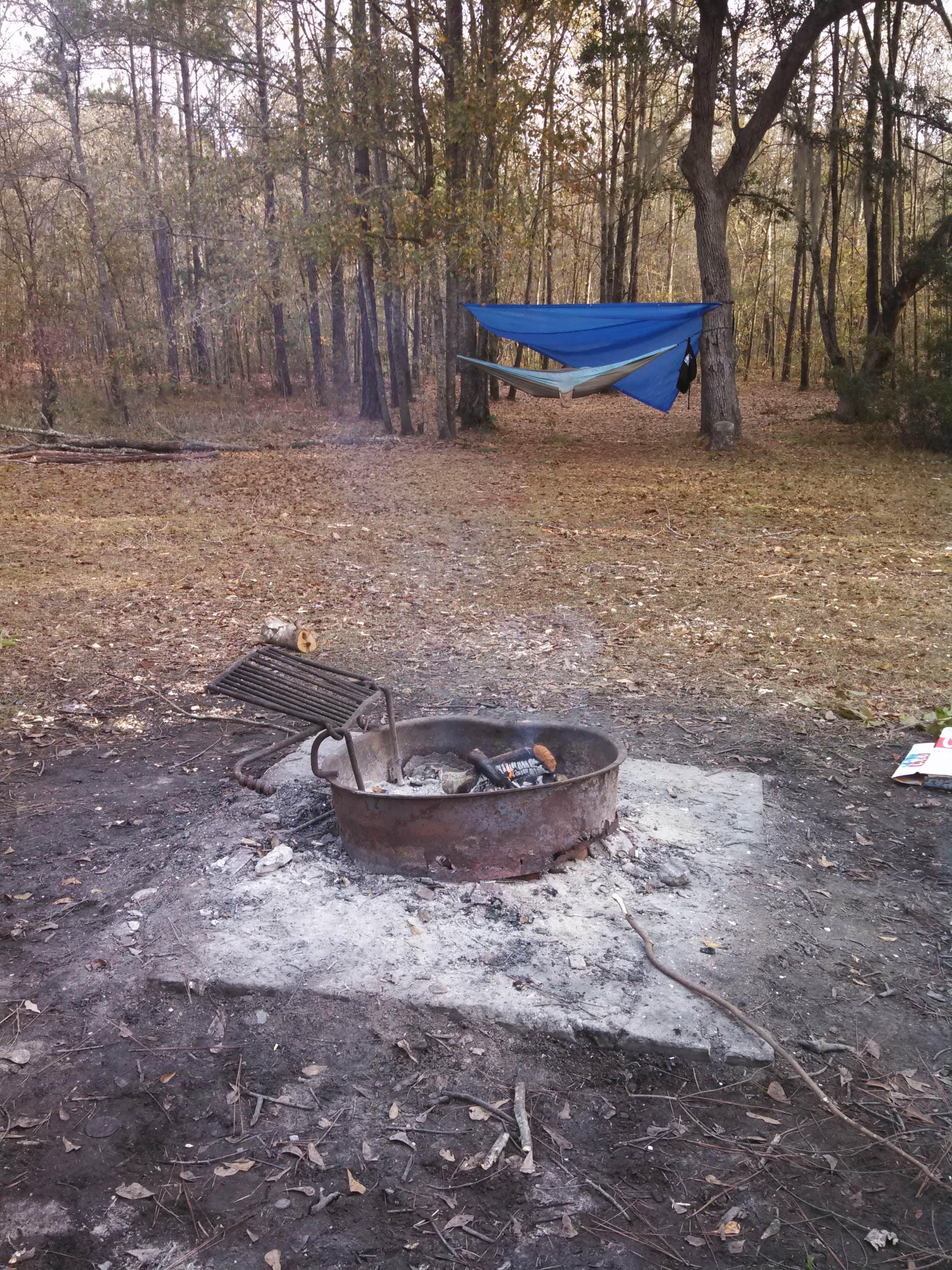 Camper-submitted photo at Halfway Creek - Dispersed Camping near Drayton, SC