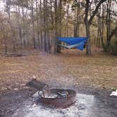 Review photo of Halfway Creek - Dispersed Camping by Adam V., November 30, 2020