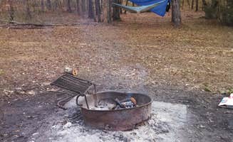 Adam V.'s photo at Halfway Creek - Dispersed Camping near Bonneau, SC
