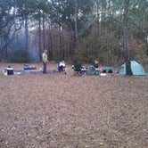 Review photo of Halfway Creek - Dispersed Camping by Adam V., November 30, 2020