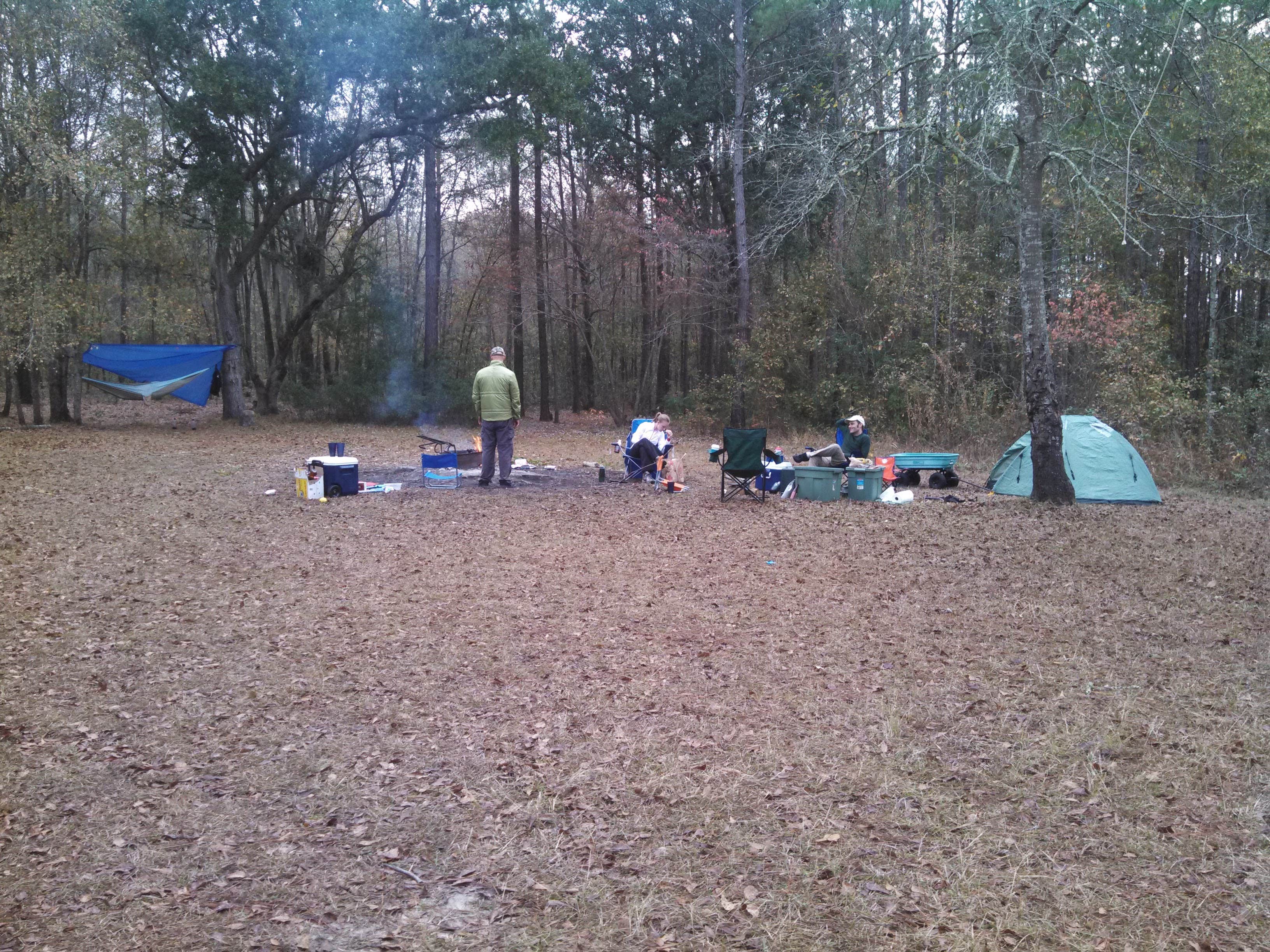 Camper submitted image from Halfway Creek - Dispersed Camping - 3