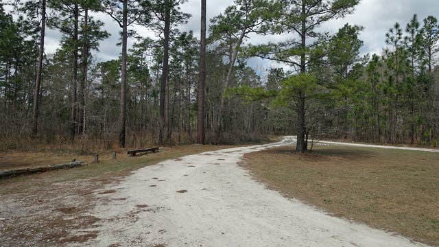 Camper-submitted photo at Halfway Creek - Dispersed Camping near Drayton, SC
