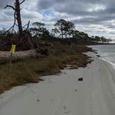 Review photo of Big Lagoon State Park Campground by Brandie B., November 30, 2020
