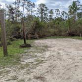 Review photo of Big Lagoon State Park Campground by Brandie B., November 30, 2020
