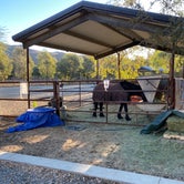 Review photo of Sweet Oaks Winery - Temporarily Closed by MomentoMori C., November 30, 2020