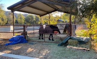 MomentoMori C.'s photo of camping with a horse at Sweet Oaks Winery - Temporarily Closed near Bloomington, CA