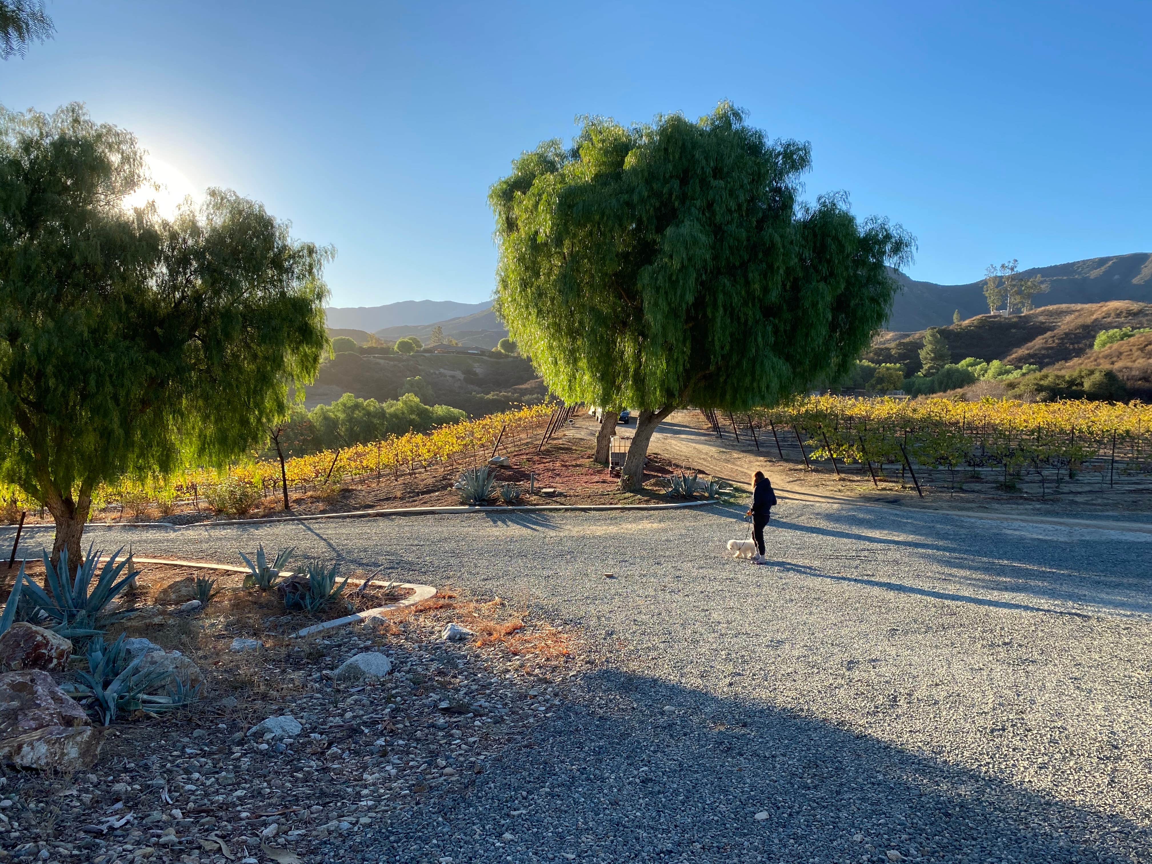 Camper-submitted photo at Sweet Oaks Winery - Temporarily Closed near Fallbrook, CA