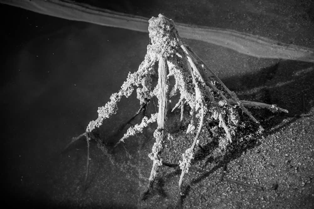 Camper-submitted photo at Headquarters Campground — Salton Sea State Recreation Area near Mecca, CA