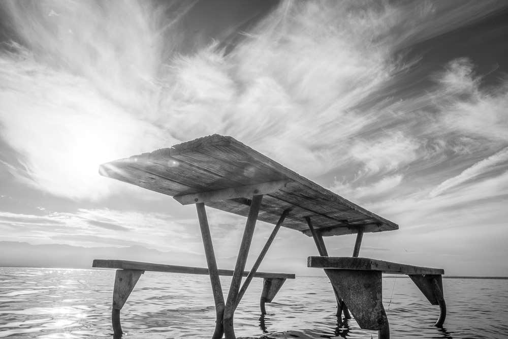 Camper submitted image from Headquarters Campground — Salton Sea State Recreation Area - 3