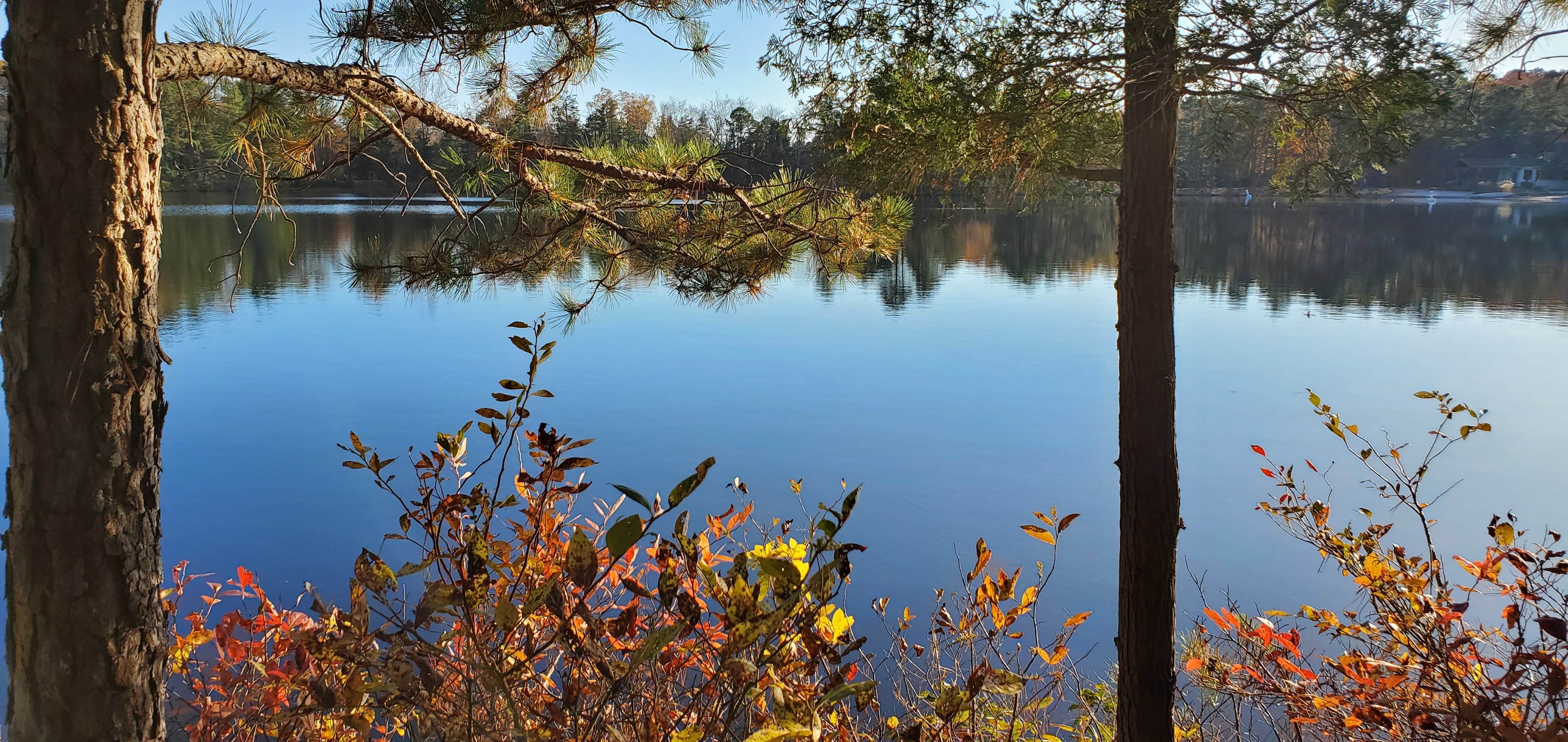 Camper-submitted photo at Belhaven Lake RV Resort near Hammonton, NJ