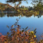 Review photo of Belhaven Lake RV Resort by Pattie R., November 30, 2020