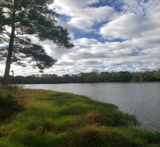 Camper-submitted photo from Holbrook Pond Recreation Area