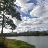 Review photo of Mcintosh Lake RV Park by Karen C., November 30, 2020