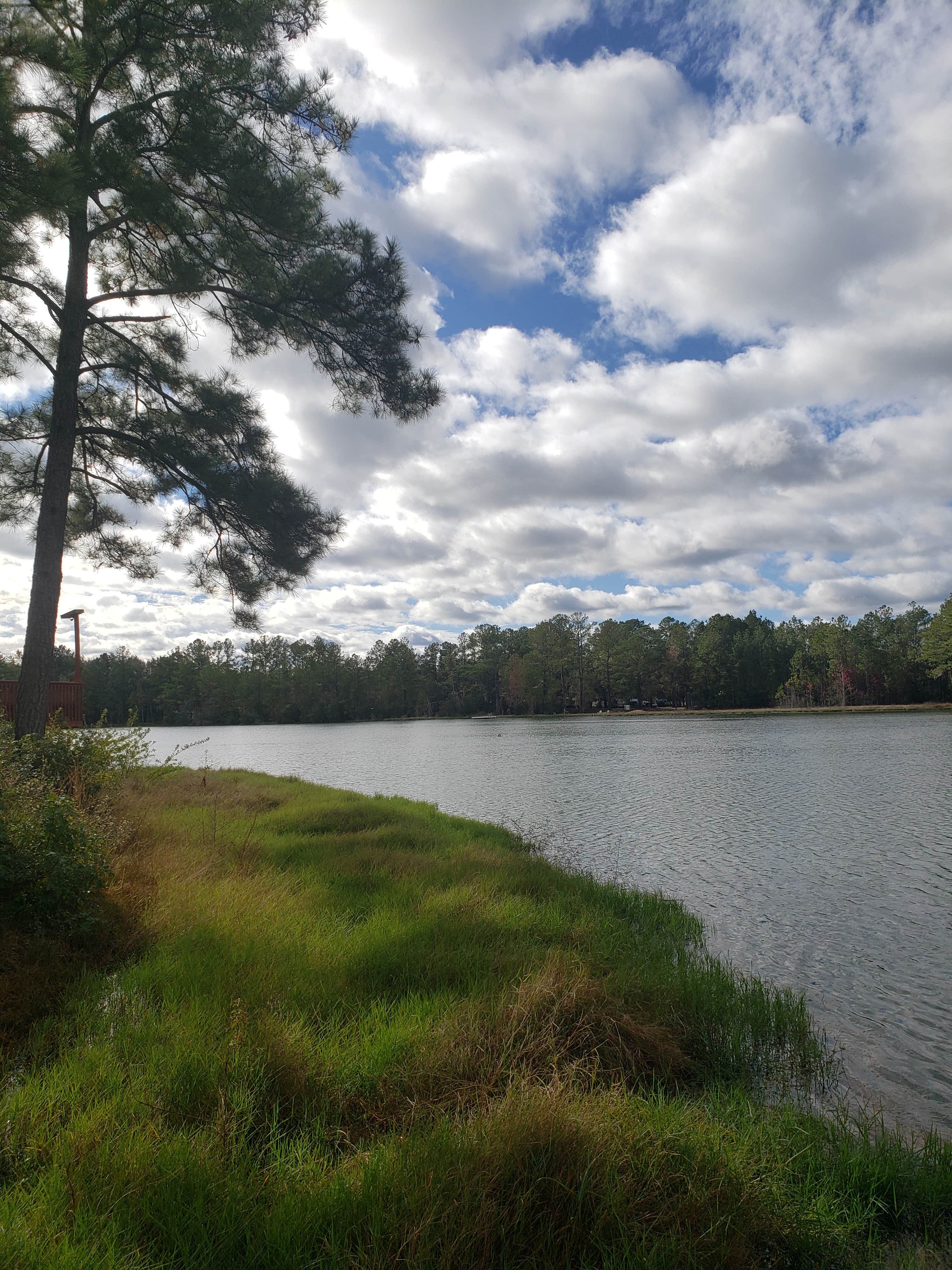 Camper submitted image from Mcintosh Lake RV Park - 5