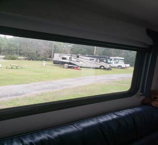 Camper-submitted photo from Mcintosh Lake RV Park