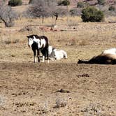 Review photo of Historic Prude Ranch by Christopher W., November 30, 2020