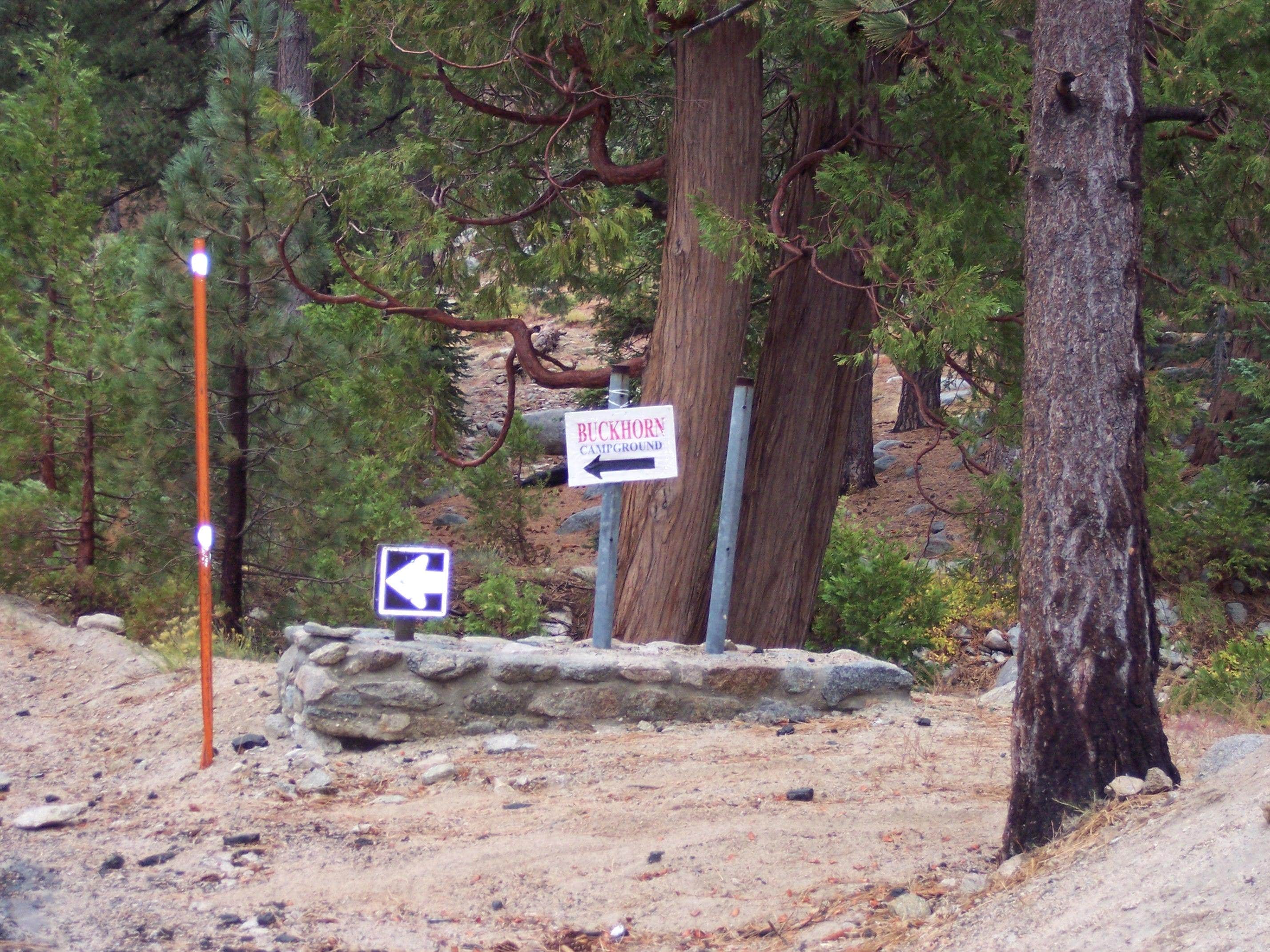 Camper submitted image from Buckhorn - 3