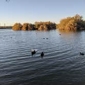 Review photo of Yuma Lakes RV Resort by Aniko S., November 30, 2020