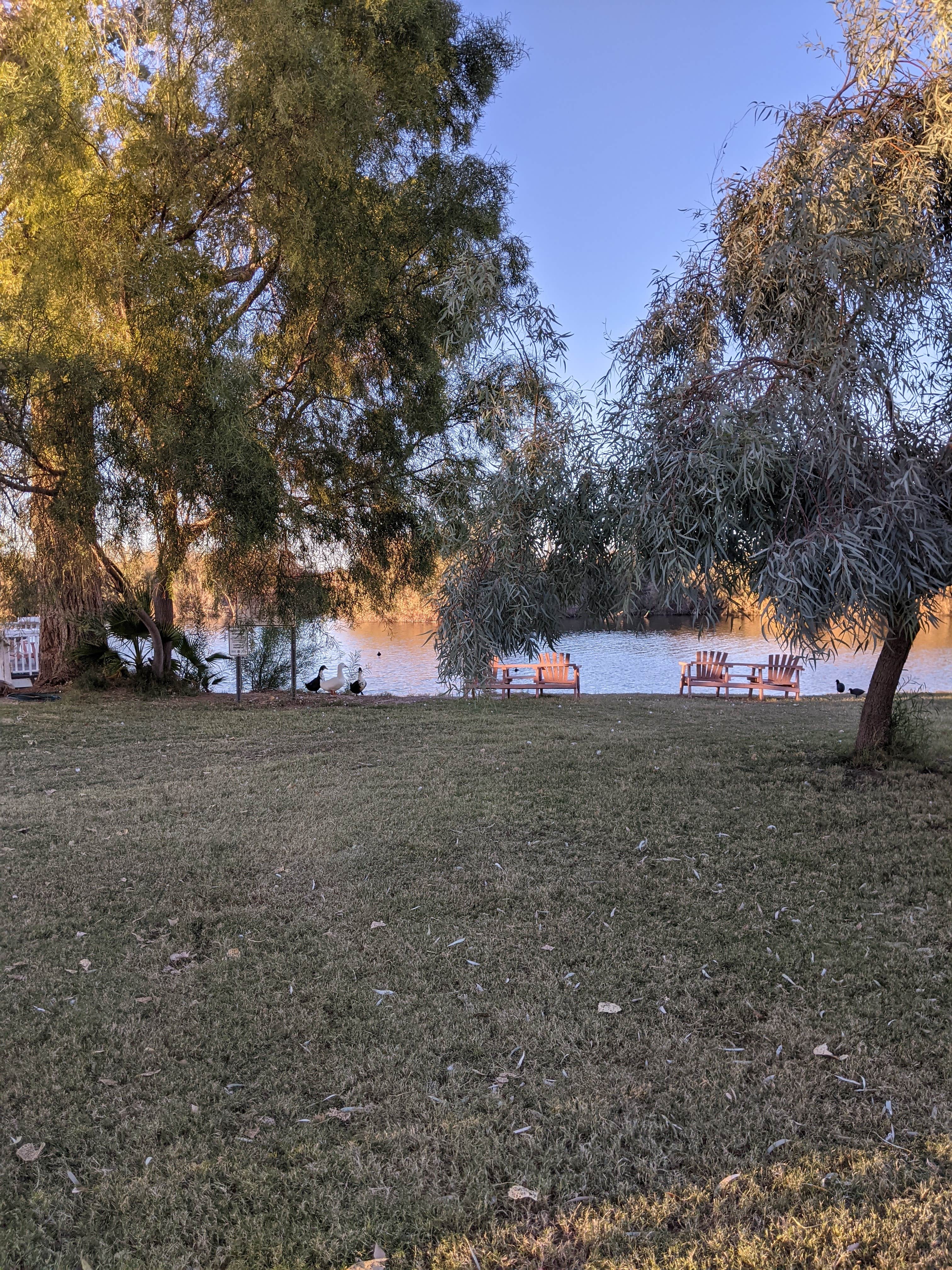 Camper-submitted photo at Yuma Lakes RV Resort near Cibola, AZ