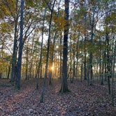 Review photo of Henry Horton State Park Campground by Adam B., November 30, 2020
