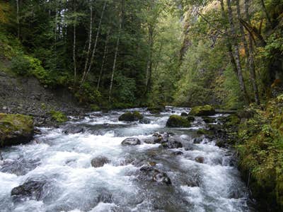 Camper submitted image from Buckhorn - 5