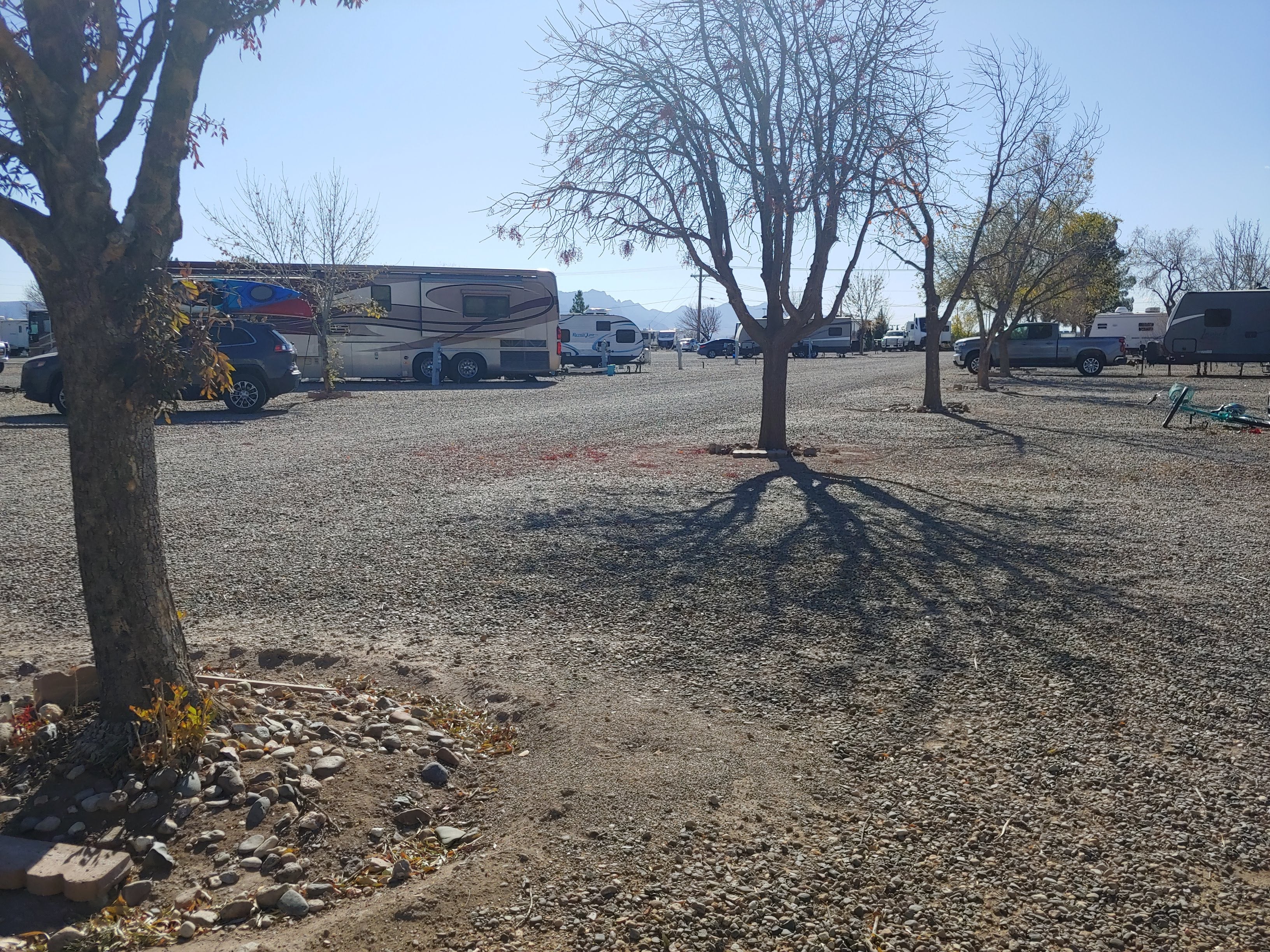 Camper submitted image from Dream Catcher RV Park - 3