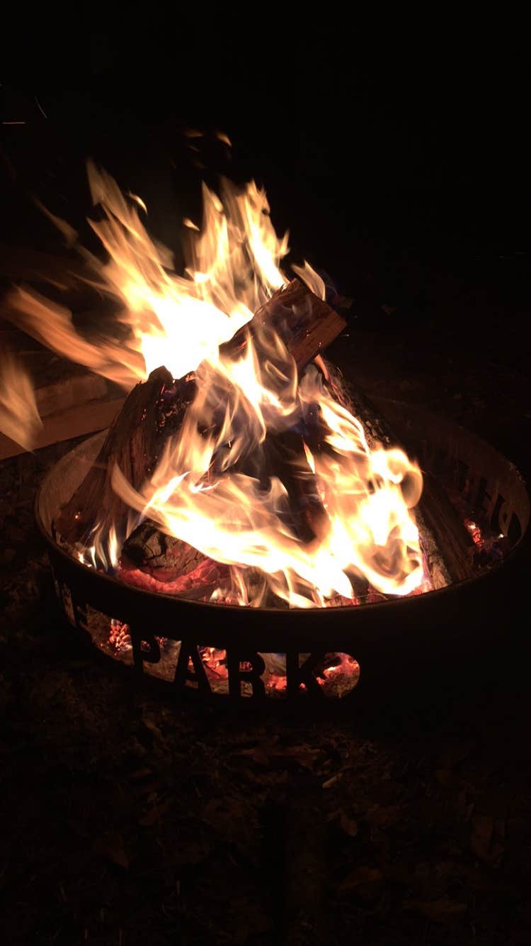 Camper submitted image from Percy Quin State Park Campground - 4