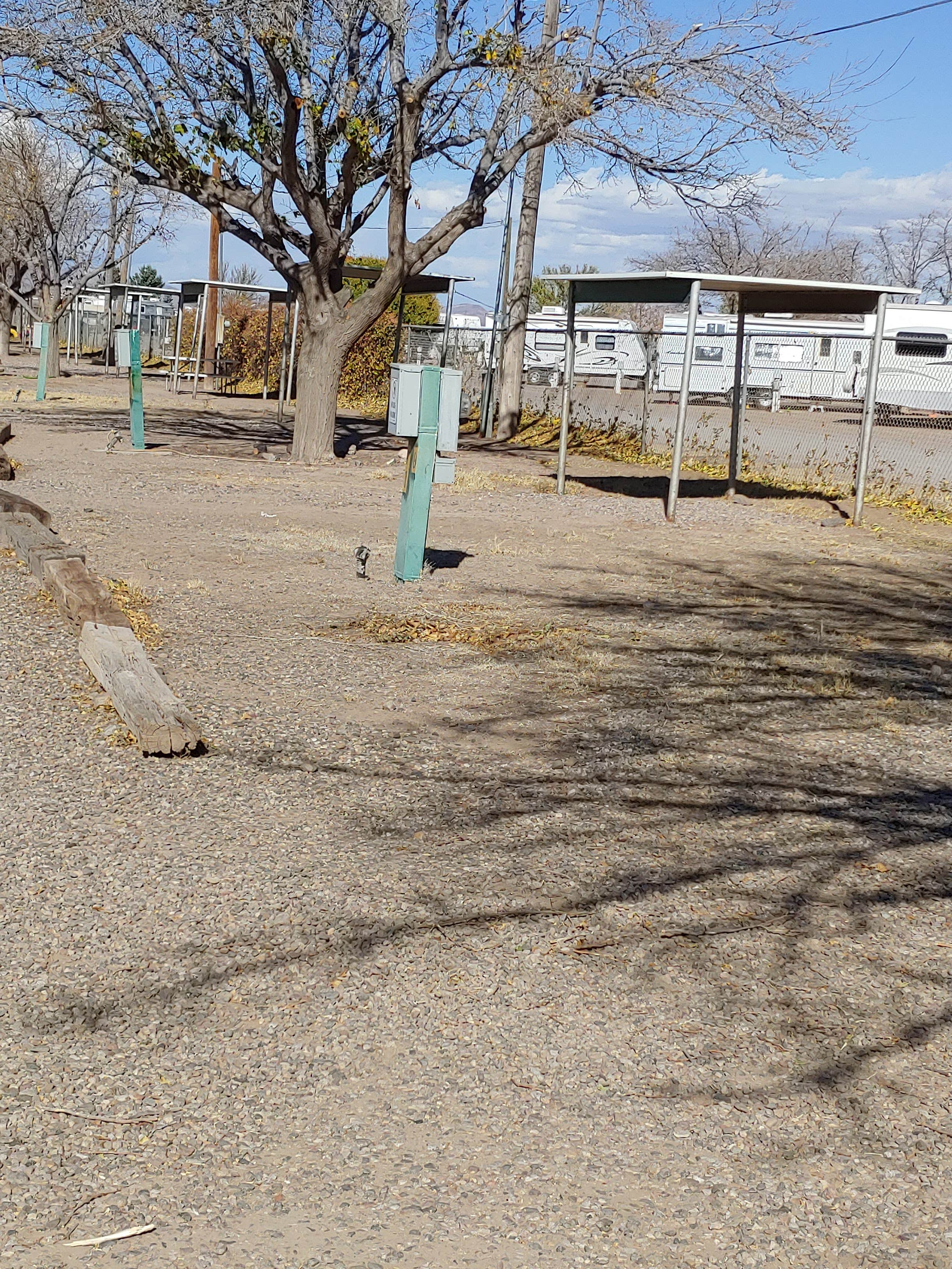 Camper submitted image from Roadrunner RV Park - 4