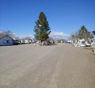 Camper-submitted photo from Little Vineyard RV Park