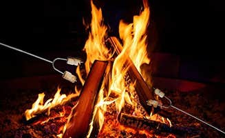 Julie P.'s photo at Buckhorn near Stanley, ID