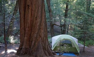 Julie P.'s photo of tent camping at Buckhorn near Lowman, ID