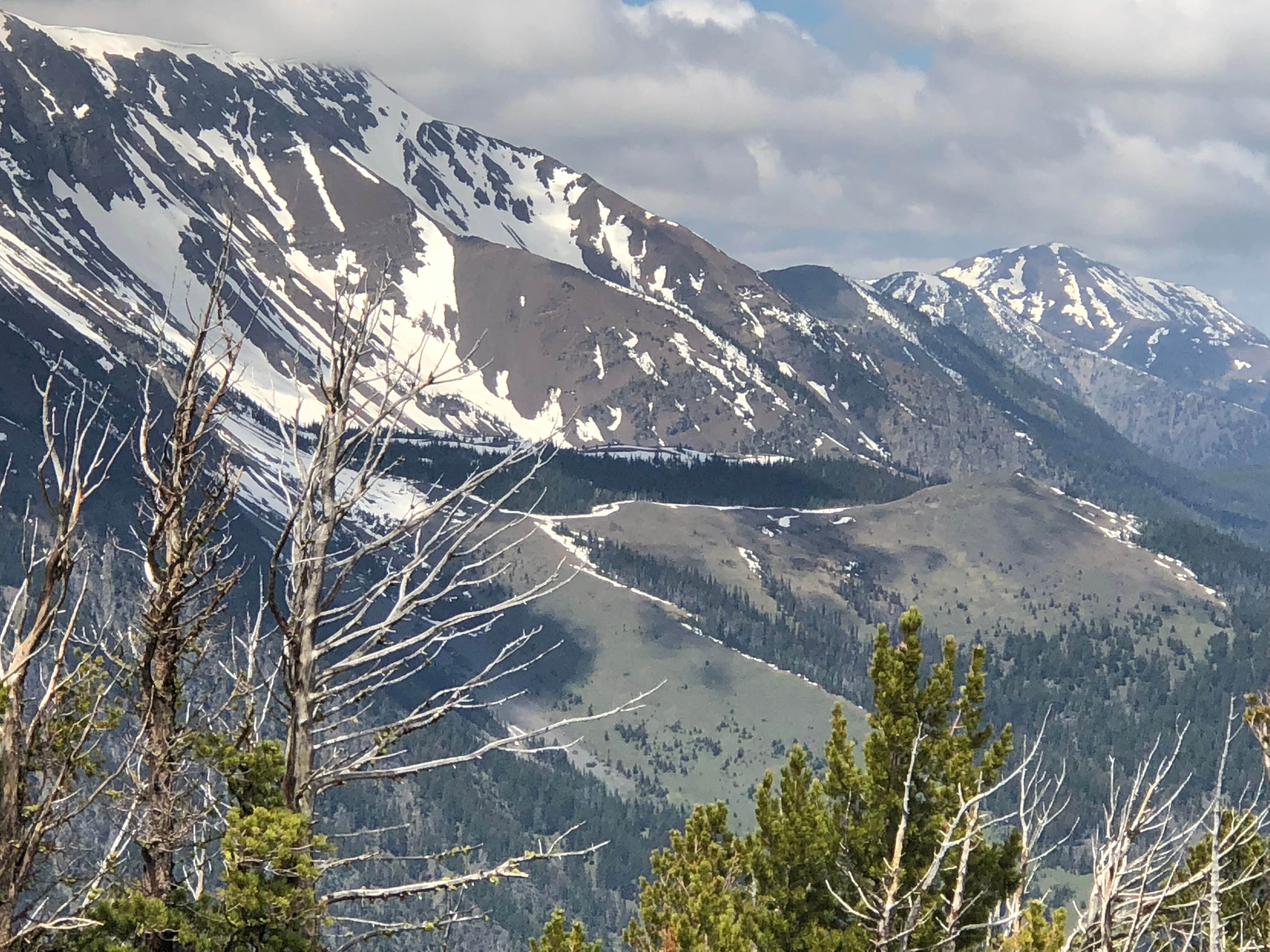 Umatilla National Forest photo 4