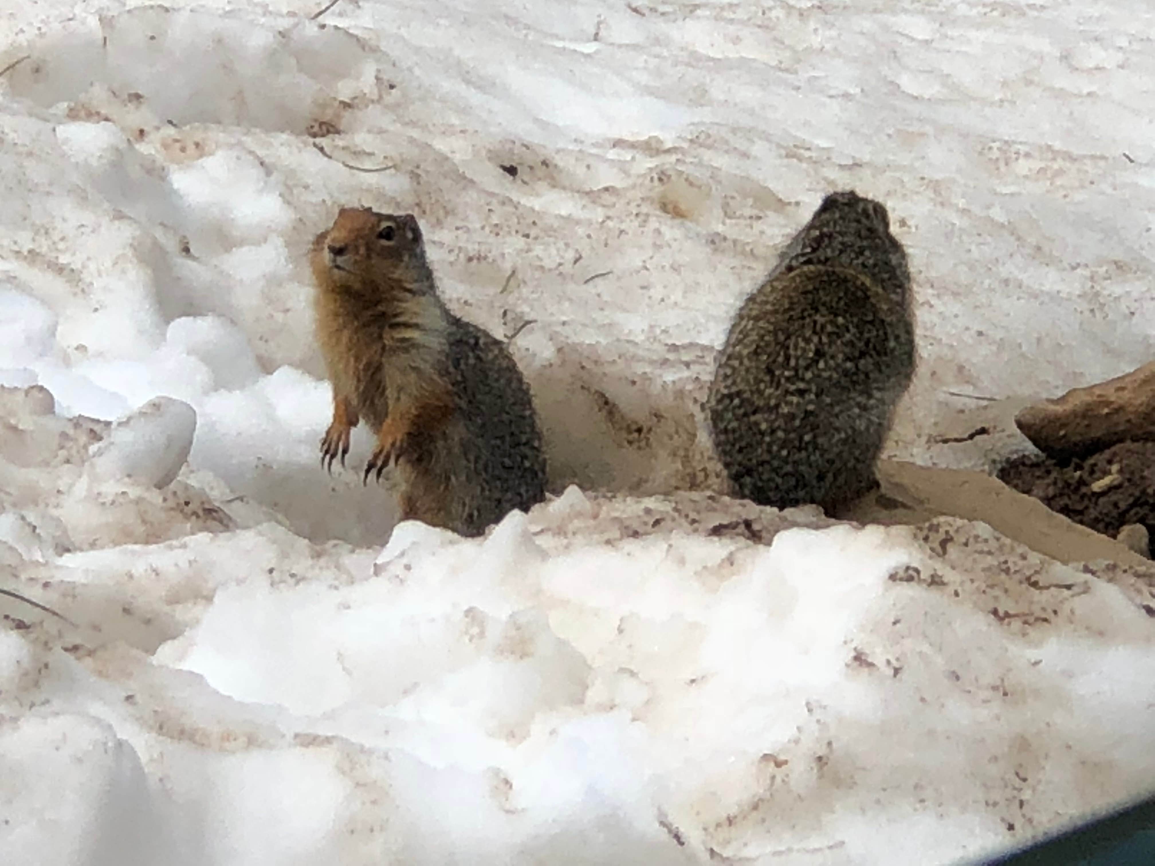Camper-submitted photo at Scenic Meadows RV Park near Baker City, OR