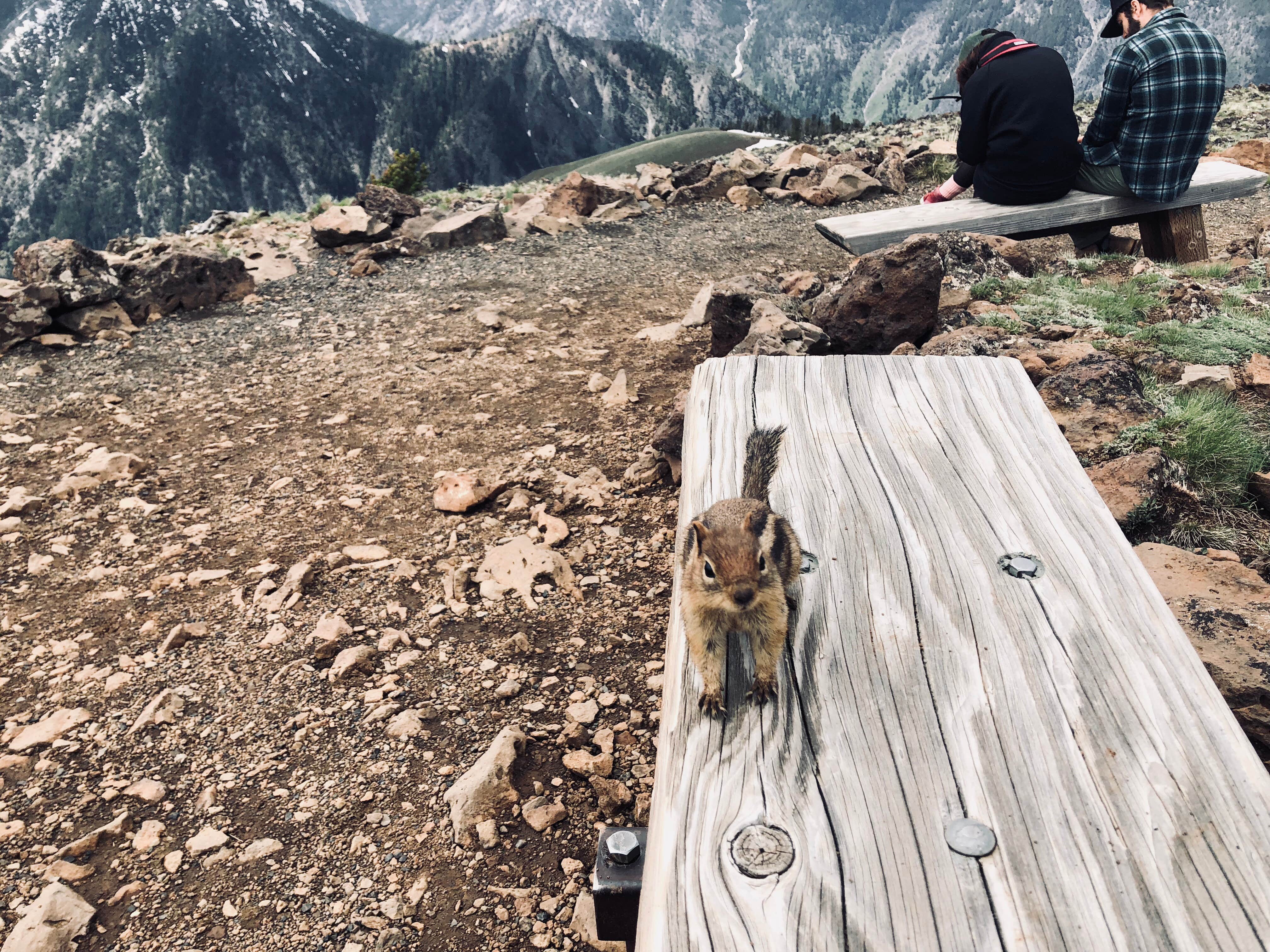 Camper-submitted photo at Scenic Meadows RV Park near Baker City, OR