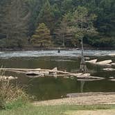 Review photo of Acorn Campground — Beavers Bend State Park by Jeff R., November 30, 2020