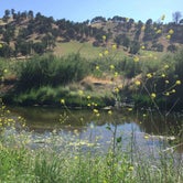 Review photo of Cache Creek Regional Park Campground  by Allyson D., May 24, 2018