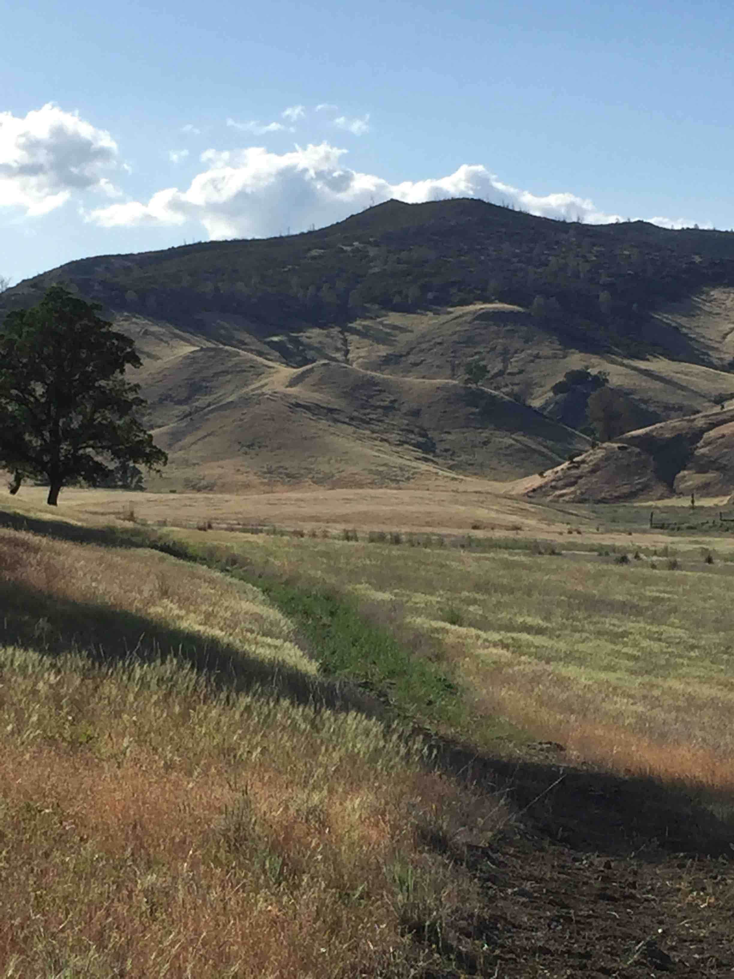 Camper submitted image from Cache Creek Regional Park Campground - 2