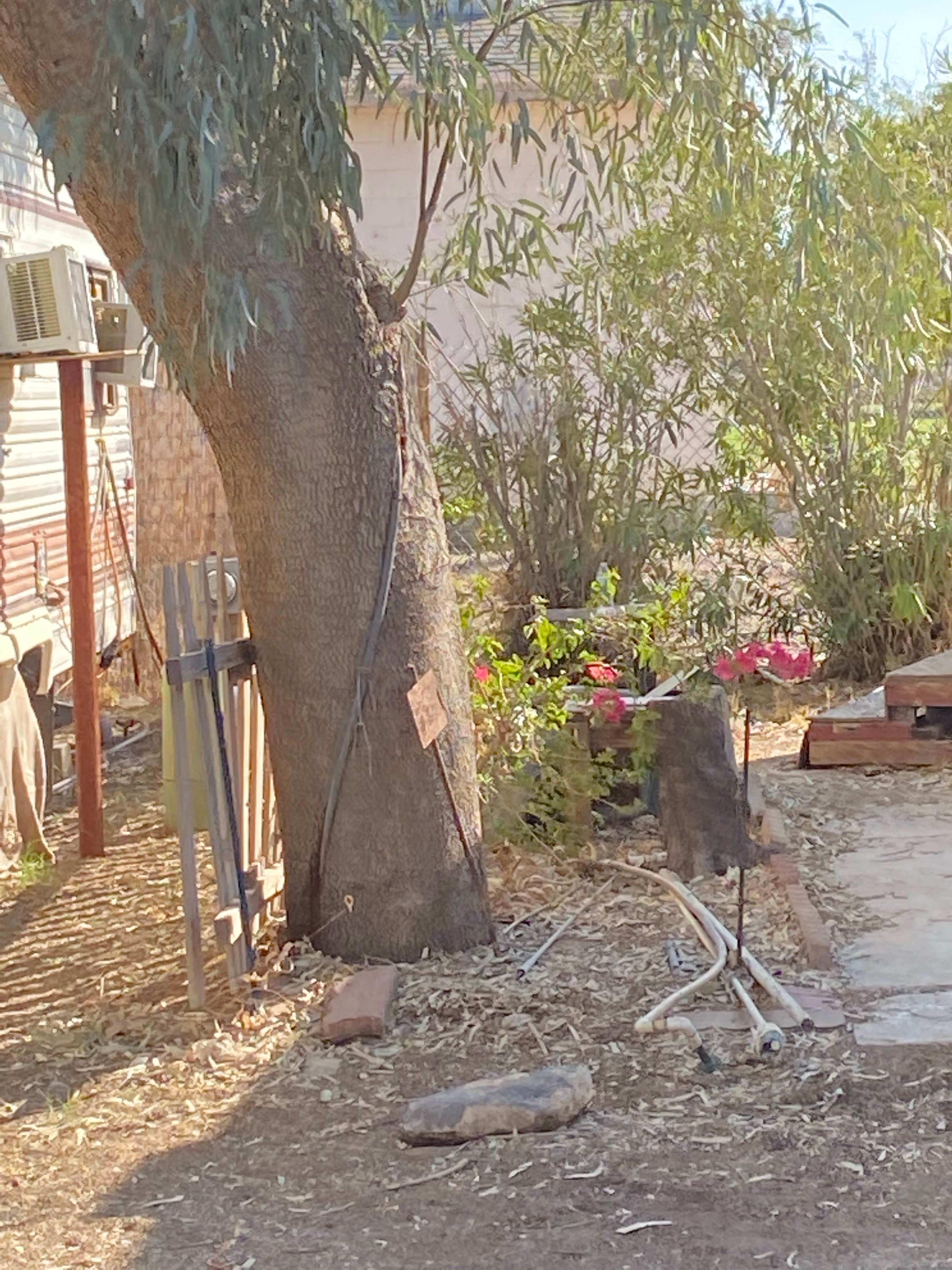 Camping near Silver View RV Resort: Fishermen's Trailer Lodge, Bullhead City, Arizona