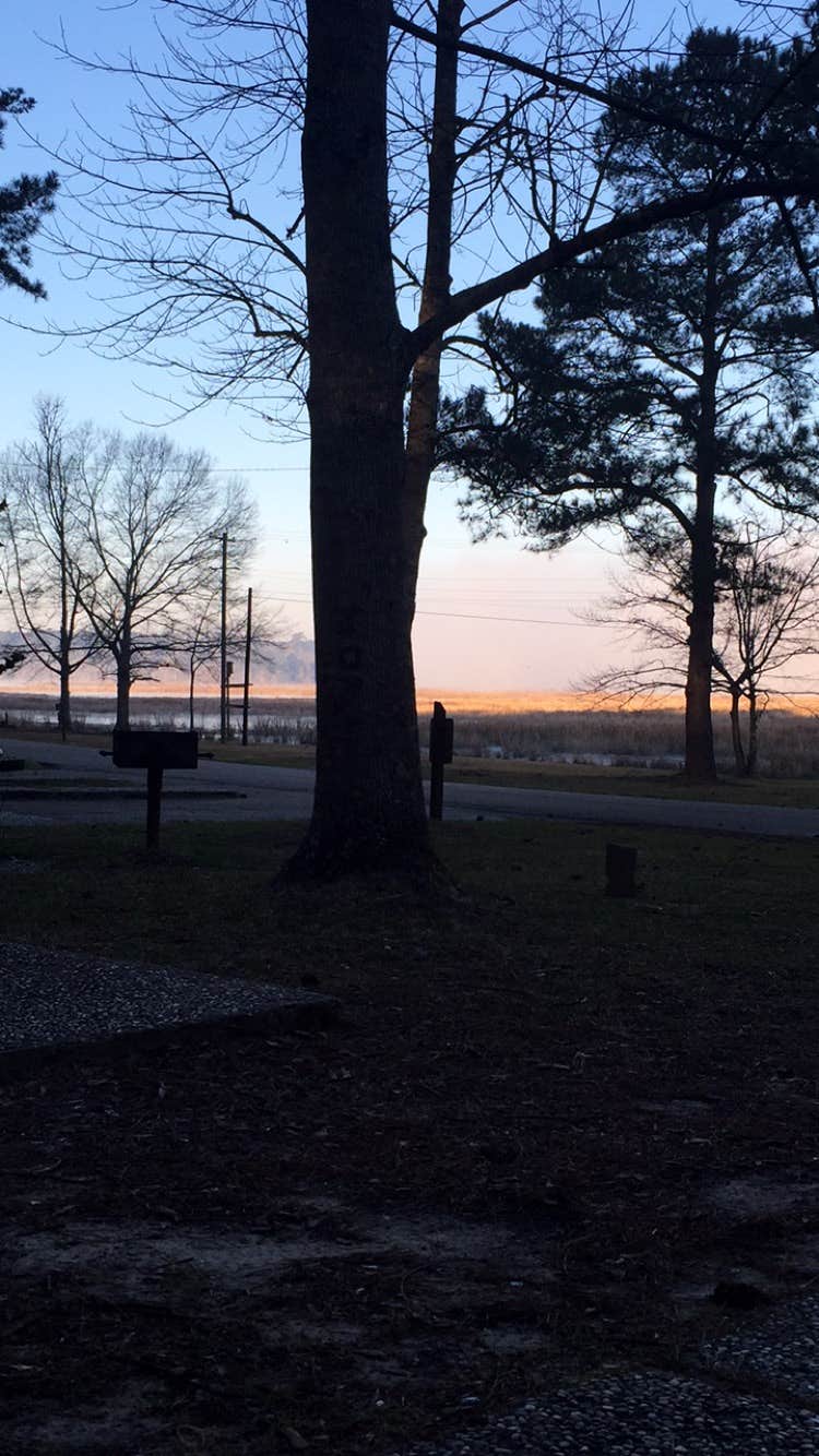 Camper-submitted photo at Percy Quin State Park Campground near Gloster, MS
