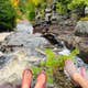 Sturgeon River Gorge Wilderness