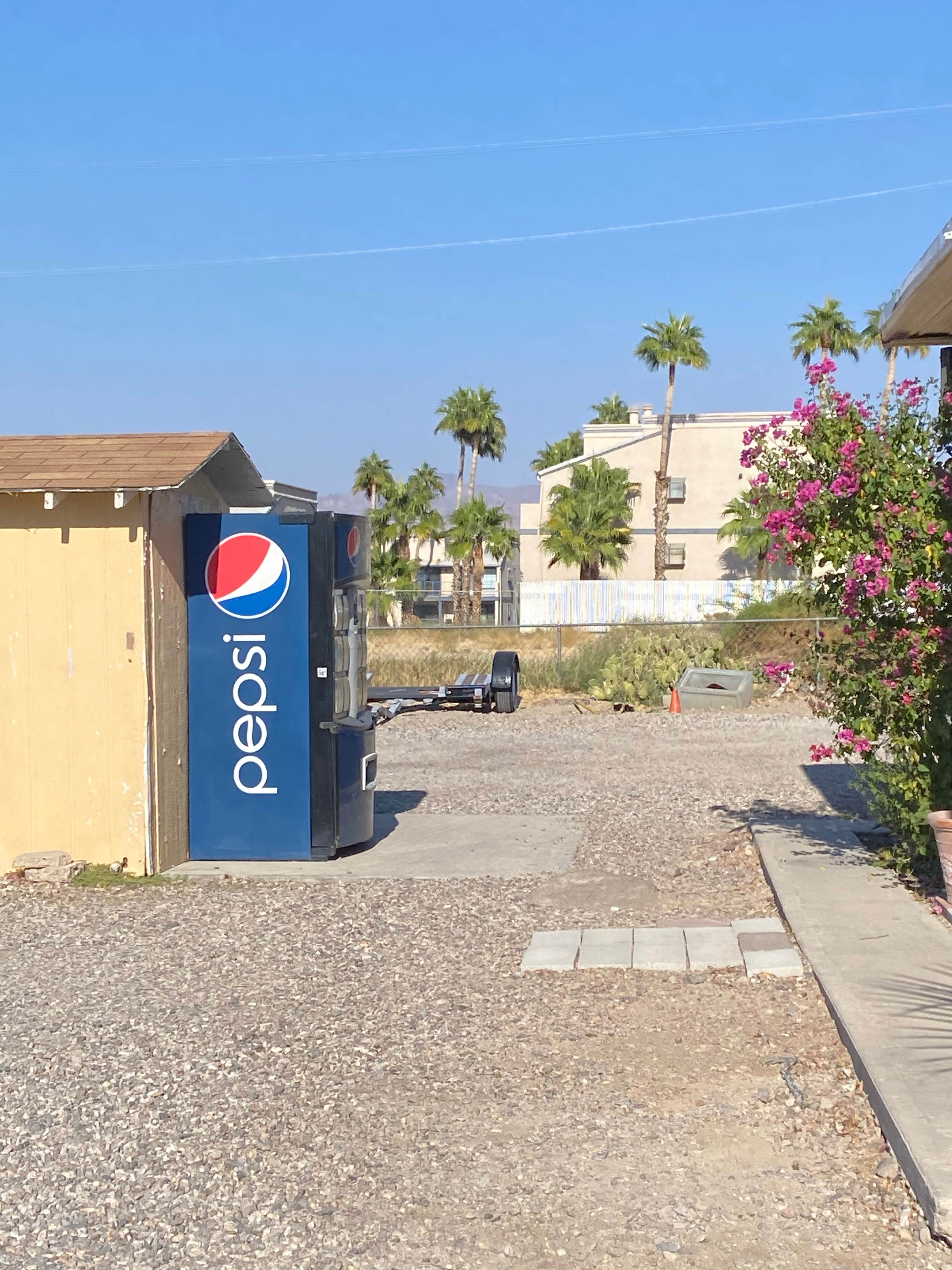 Camper-submitted photo at San Gennaro Riverfront RV Park near Mojave National Preserve