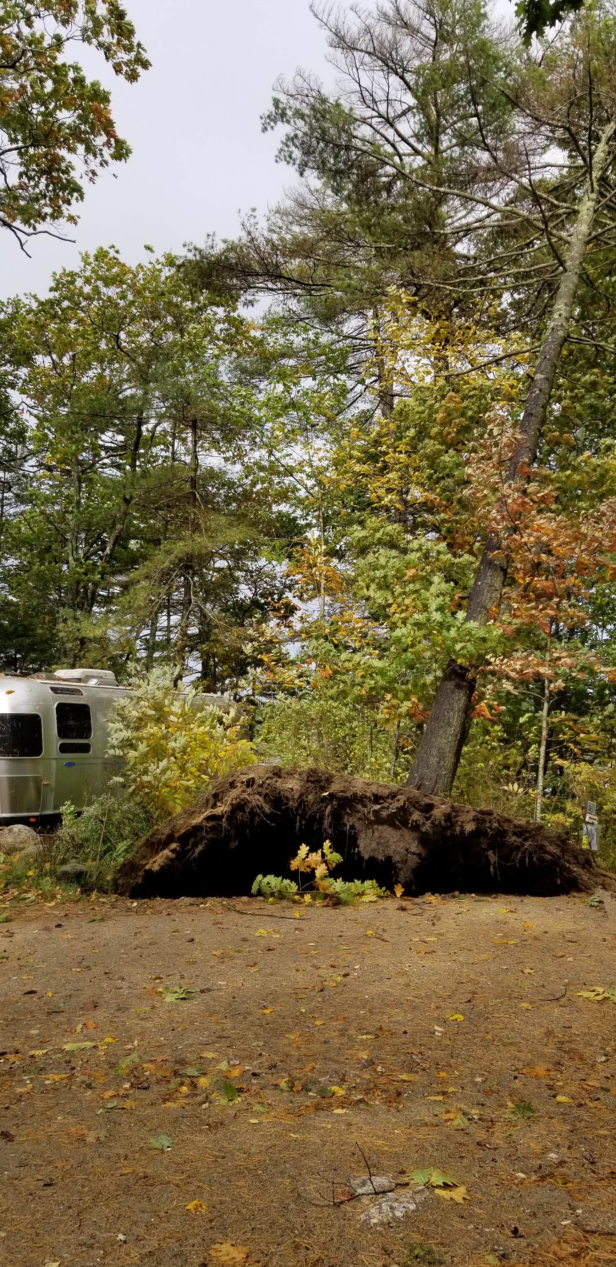 Portia H.'s photo of rv camping at Wolfe's Neck Oceanfront Campground near Lisbon Falls, ME