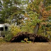 Review photo of Wolfe's Neck Oceanfront Campground by Portia H., November 30, 2020