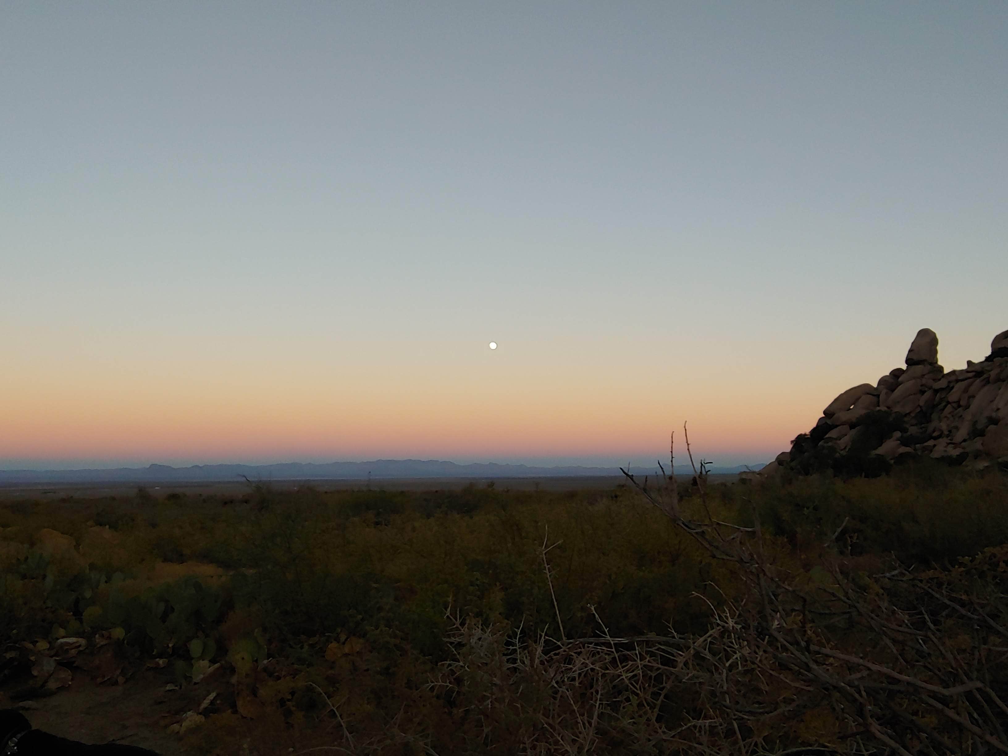 Laura M.'s photo of a dispersed camping area at Happy Camp Trail near Bowie, AZ