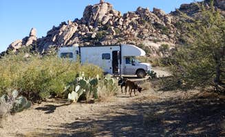 Laura M.'s photo of camping with pets at Happy Camp Trail near Dragoon, AZ