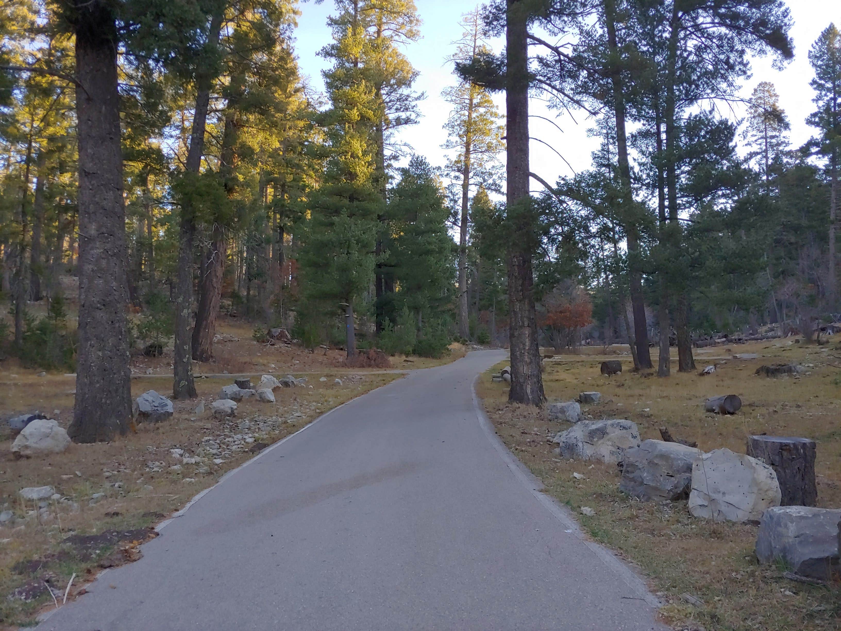 Escape To Enchantment: Uncovering The Magic Of New Mexico’s Lower Fir Group Campground