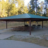 Review photo of Lower Fir Group Campground by Laura M., November 30, 2020